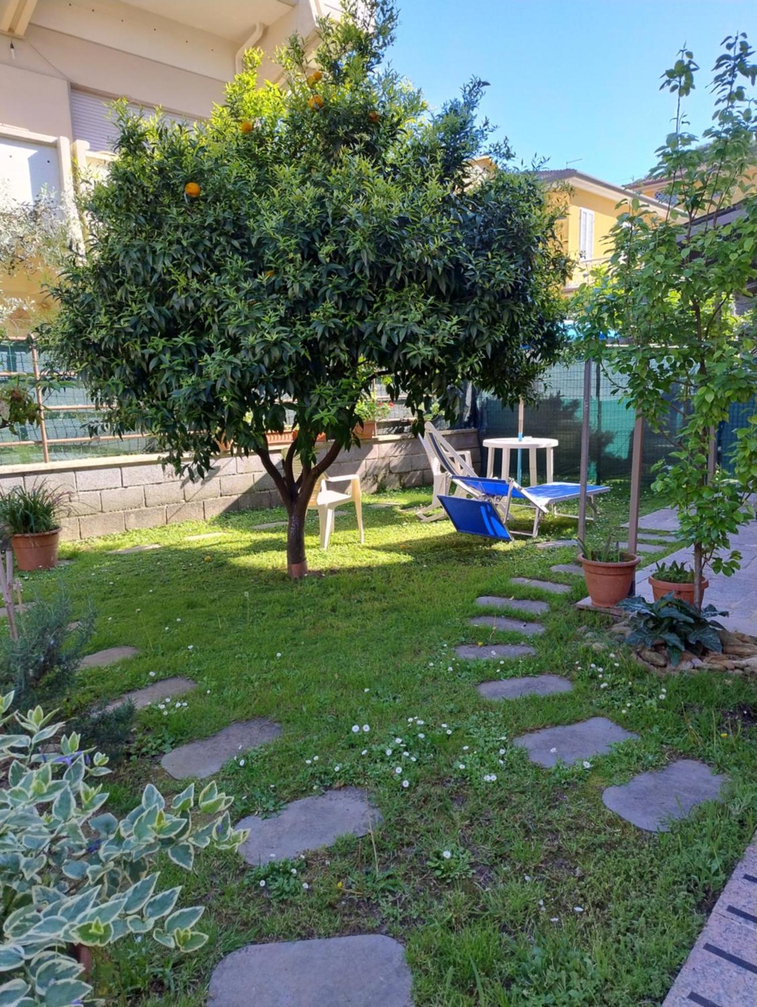 Bilocale Climatizzato A 850M Dalla Spiaggia Casa Katia Марина-ди-Масса Экстерьер фото